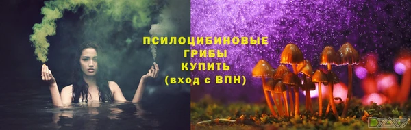 дживик Белоозёрский