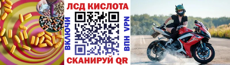 где найти наркотики  кракен tor  ЛСД экстази кислота  Гаврилов-Ям 