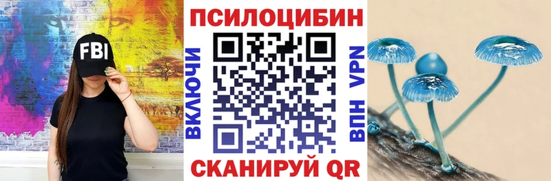Псилоцибиновые грибы ЛСД  MEGA tor  Гаврилов-Ям  даркнет сайт 